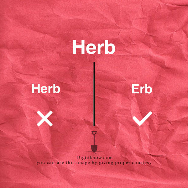 Proper pronunciation of Herb 