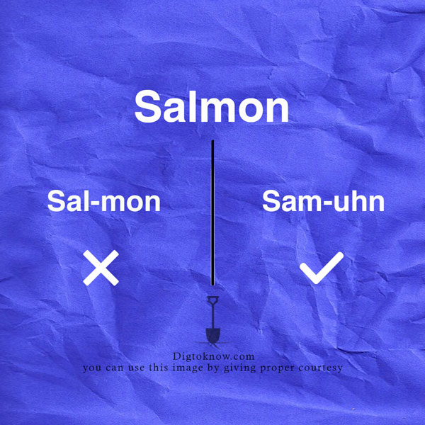 Proper pronunciation of Salmon