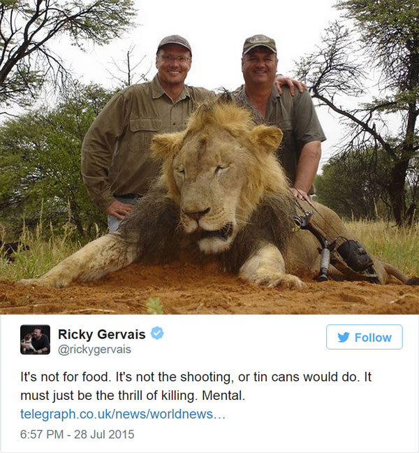 Dentist Walter Palmer Killed a Lion