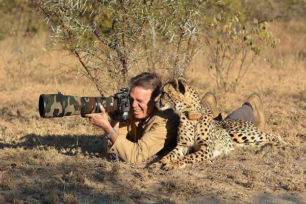 cameras animals helping photographers