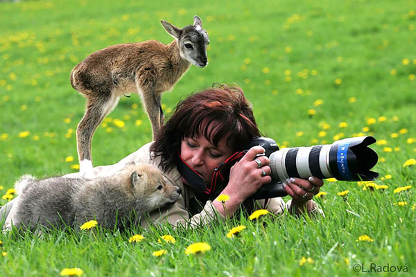 Animals Turned Photographers