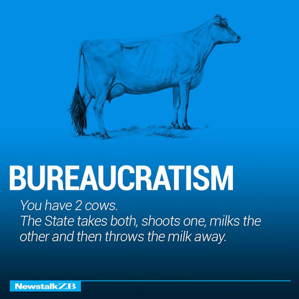 Two Cow Explaining Bureaucratism