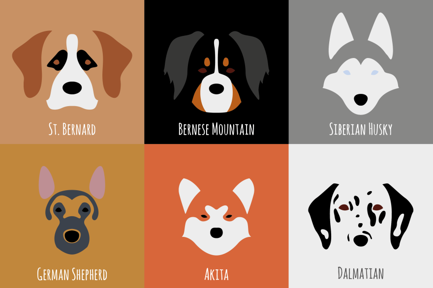 Minimalist Dog Breeds Illustrations that are really cute 