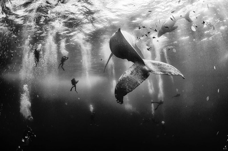 Anuar Patjane National Geographic Traveller Photo Contest Winner