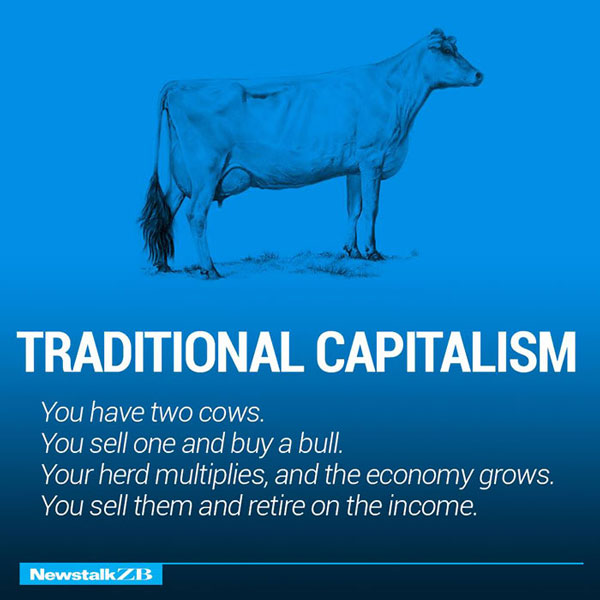 Traditional Capitalism Economic Study