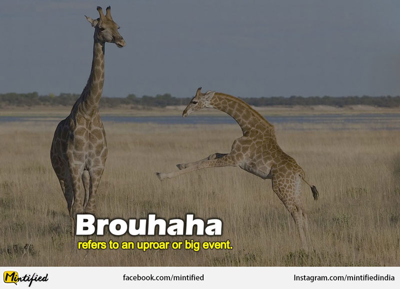 Crazy English Words Like Brouhaha