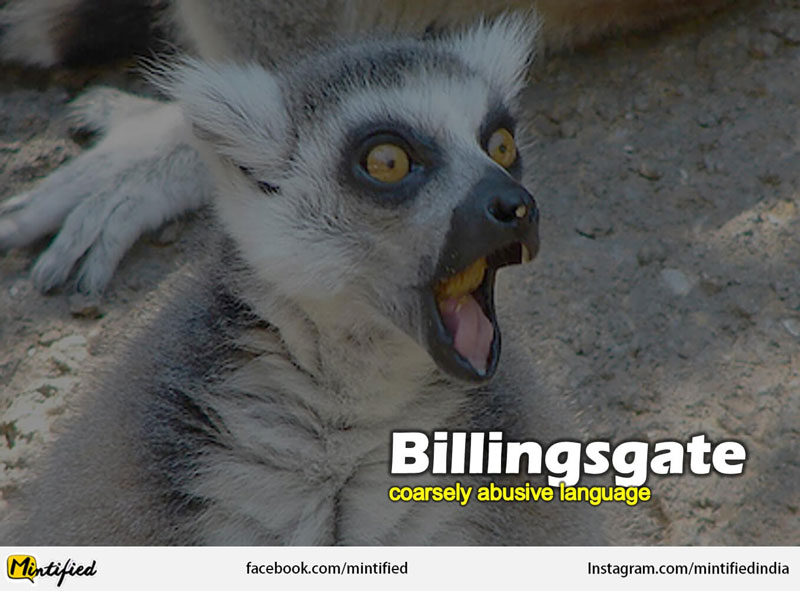 Crazy English Words Like Billingsgate