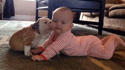 babies and puppies