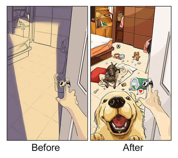 Pictures Of Life Before And After Getting A Dog